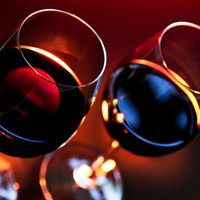 Chinon ou Saumur Champigny, lequel choisir ?
