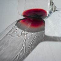 Les grands critiques de vins internationaux