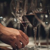 Quel Pinot Noir choisir ?