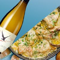 Poulet à l'estragon + Languedoc blanc AOC