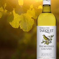 Domaine du Tariquet : La success story familiale
