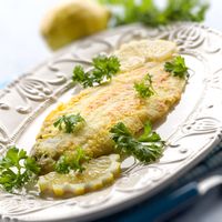 Sole meunière & Muscadet Sèvre et Maine AOC