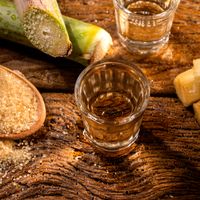 Rhum agricole : Pur ou cocktail rhum, au gré des envies