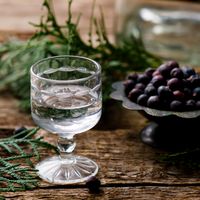 Les origines du Gin