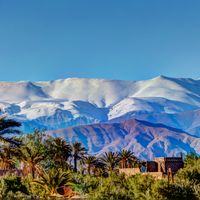 Vins du Maroc, de l'Antiquit&eacute; &agrave; l'&eacute;poque contemporaine