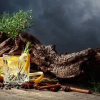 Les différentes sortes de gin