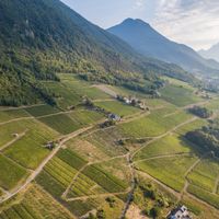 Les vins de Savoie en pleine ascension 