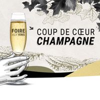 Foire aux Vins : nos 5 coups de cœur Champagnes et Effervescents