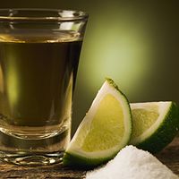 Tequila, ce qu'il faut savoir