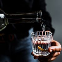 Tequila et Mezcal - Quelles diff&eacute;rences ?