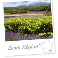 Provence Alpes Côte d’Azur, Zoom région