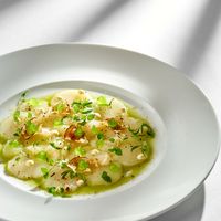 Carpaccio de noix de saint-jacques & Viognier