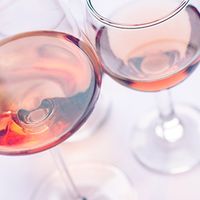Tavel Zoom sur l'appellation