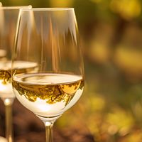 Tout savoir sur le bourgogne aligoté 