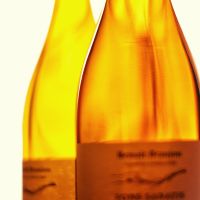 Qu'est-ce que le vin naturel ?