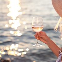 Meilleurs vins rosés pour l'été 2026 : notre sélection à moins de 15€