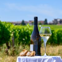 Quels sont les meilleurs vins de Bourgogne ?
