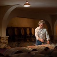 Jean-Claude Mas, l'enfant du Languedoc porté par l'inattendu - Interview -