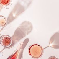Quels sont les meilleurs vins rosés ?
