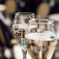 Tout savoir sur la Clairette de Die