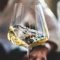 Chardonnay ou Sauvignon, lequel choisir ?